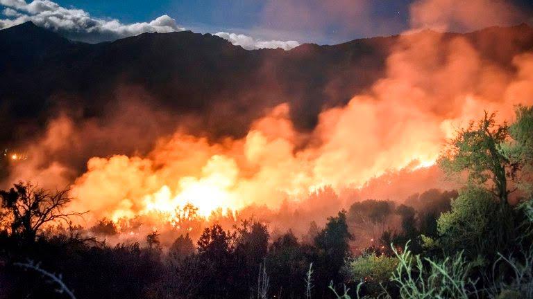 Foto: Alejandro Chaskielberg Foto: Alejandro Chaskielberg