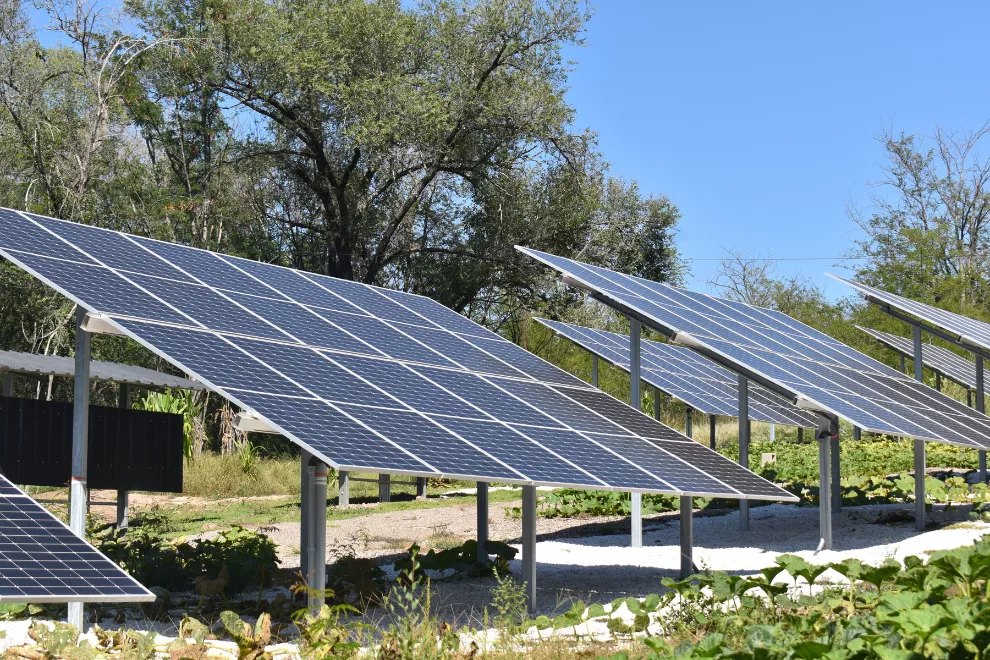 Diseno-sin-titulo-47