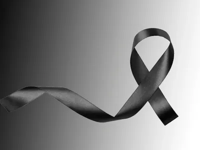 multimedia.miniatura.90ce5c72bd6f2195.bXVsdGltZWRpYS5ub3JtYWwuOGUzOGNlMjI1M2ZkNGJfbWluaWF0dXJhLndlYn