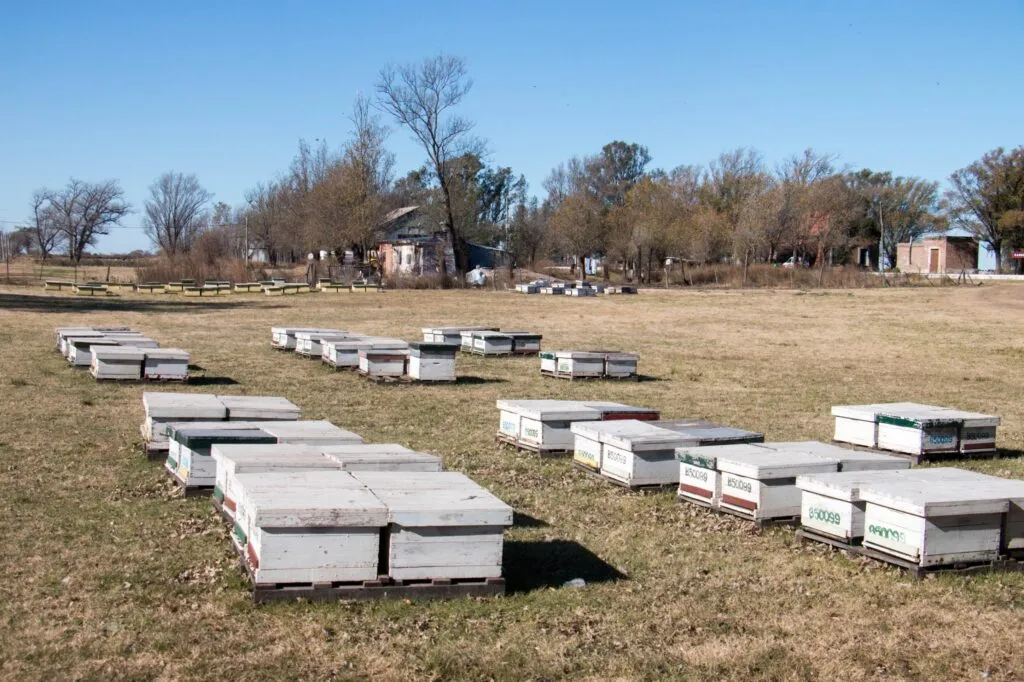 imagen_2025-07-01_173424901