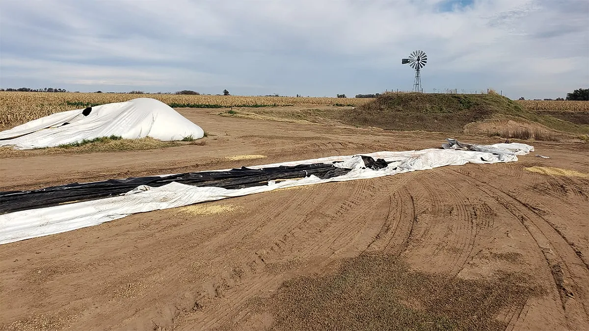 Nota El Manisero WEBP2