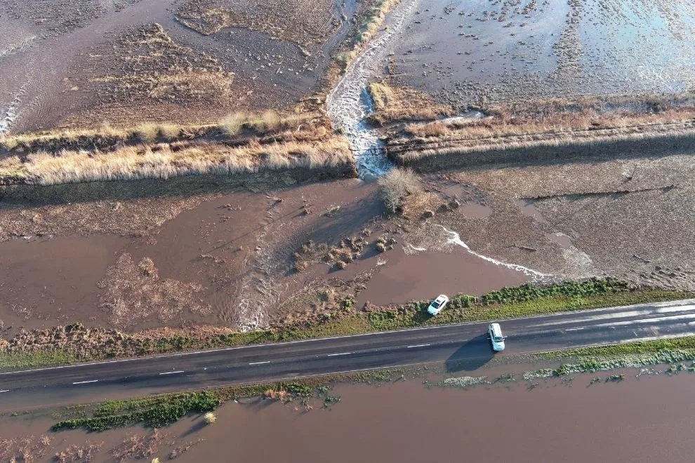 imagen_2025-09-02_090447786