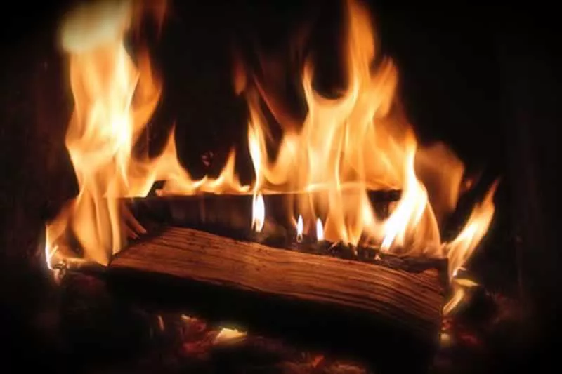 lena-la-costa-salamadra-hogar-chimenea-1