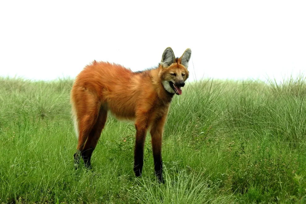 imagen_2025-09-15_233315145