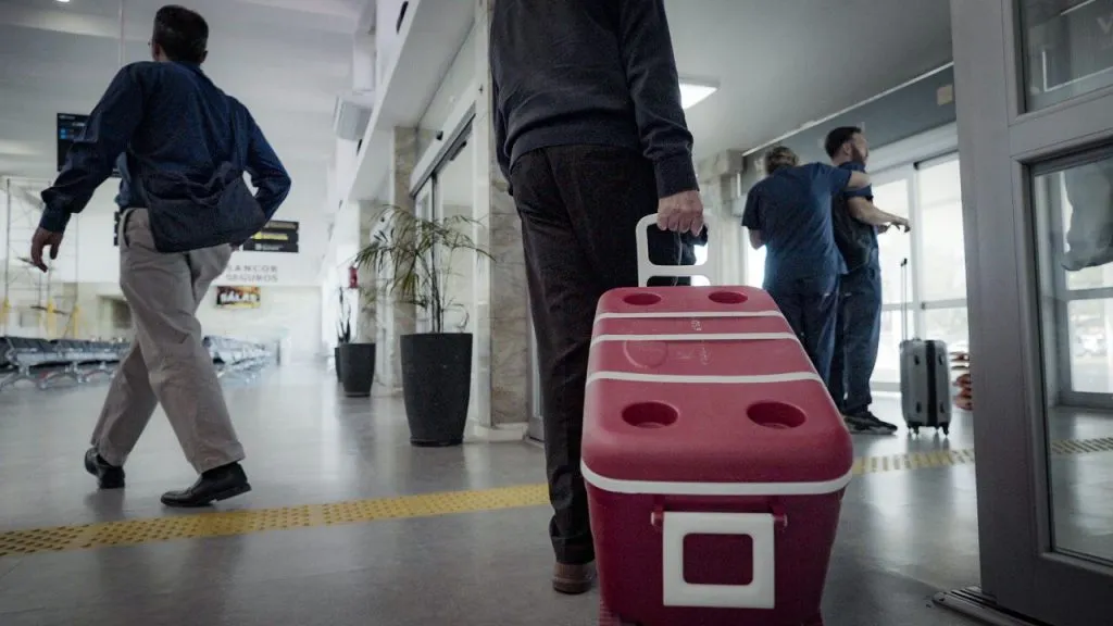 imagen_2025-11-05_132735326