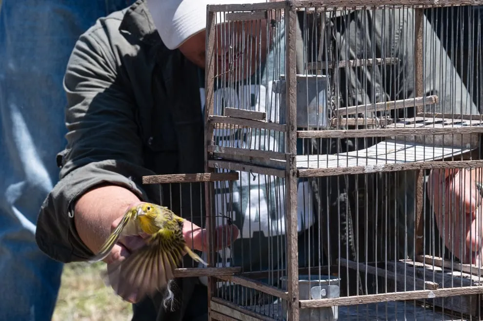 imagen_2025-11-05_201235296