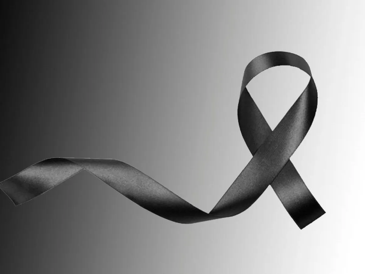 multimedia.normal.8e38ce2253fd4b3e.bGF6by53ZWJw