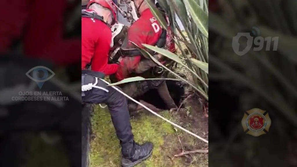 imagen_2025-09-01_225000949