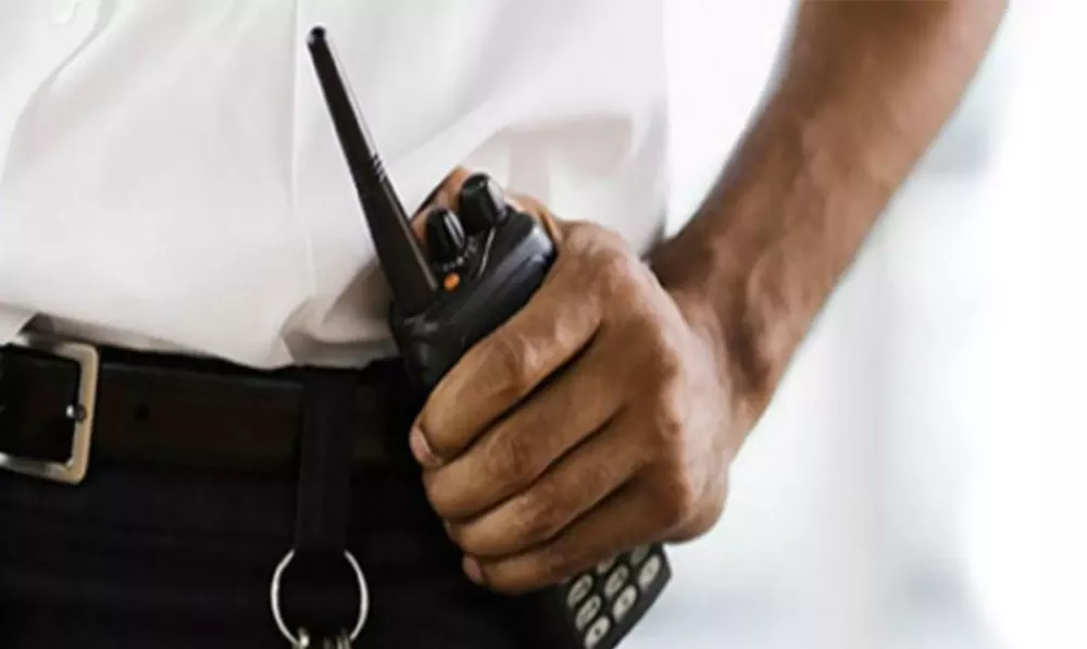 Seguridad BORRAR