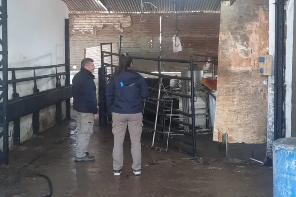 imagen_2025-09-04_174117461