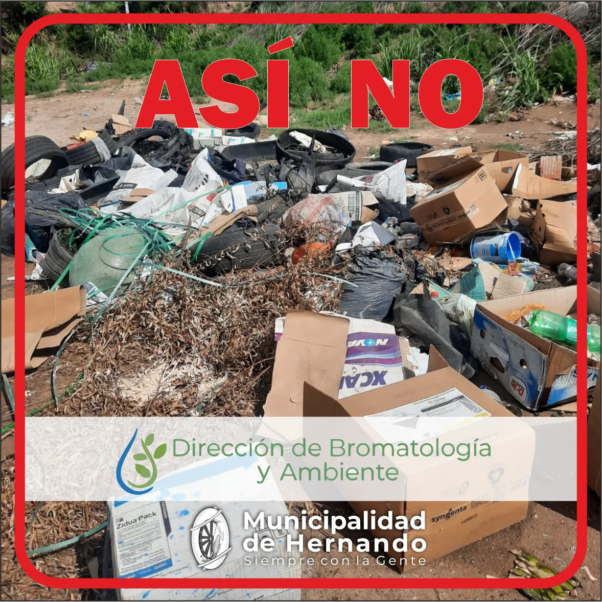 WhatsApp Image 2024-01-02 at 10.51.52 (1)