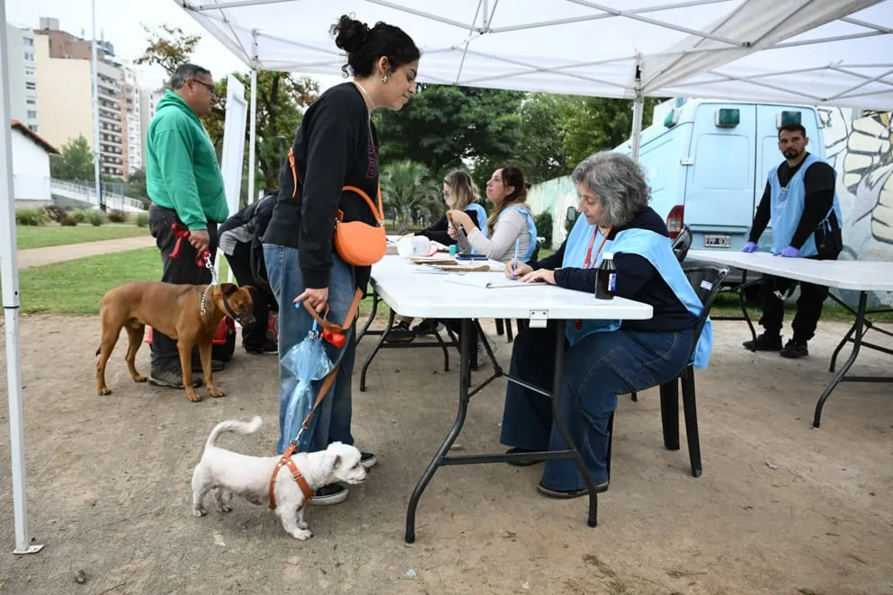 imagen_2025-05-08_090200010