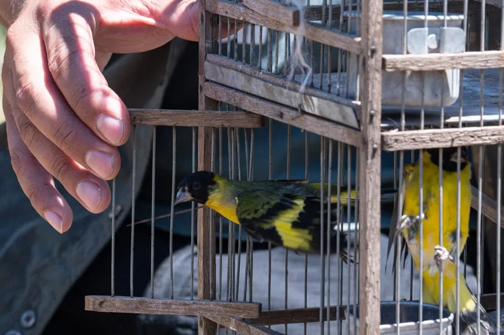 imagen_2025-11-05_201313577