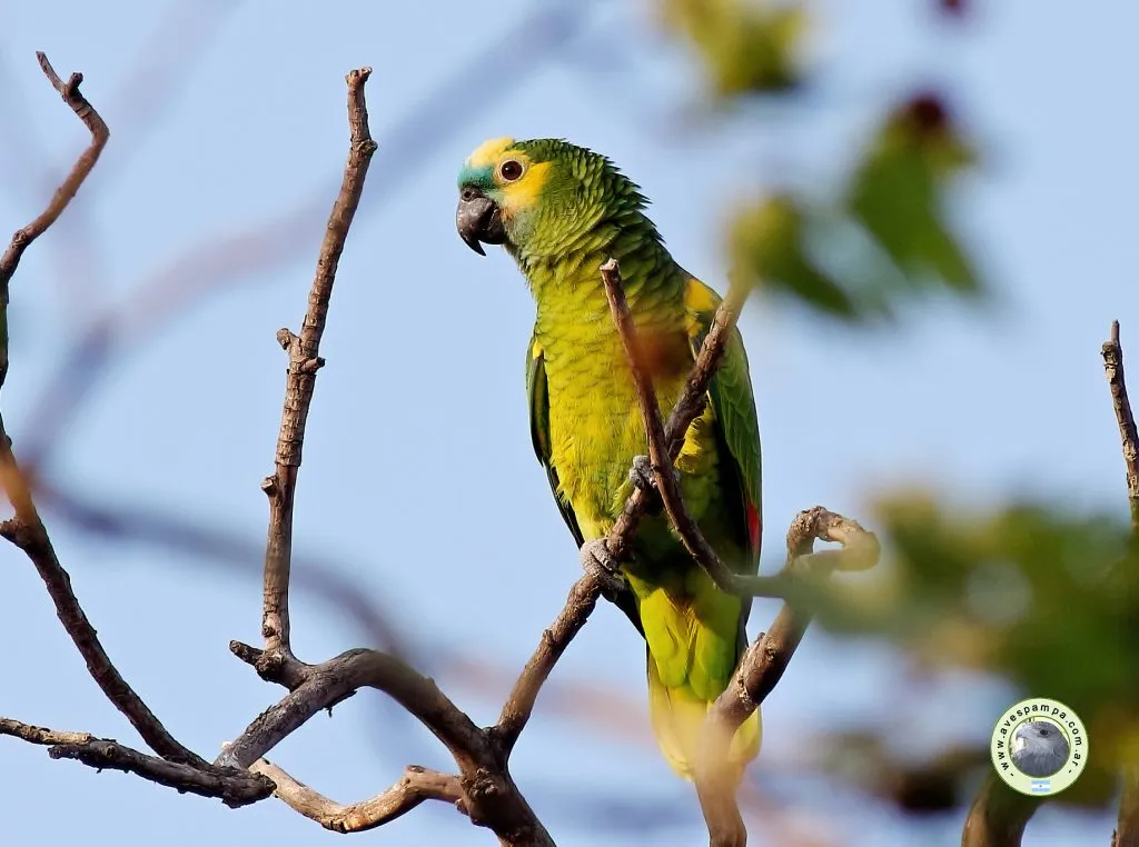 imagen_2025-09-15_233245991