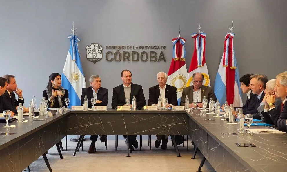 imagen_2025-07-17_224927948