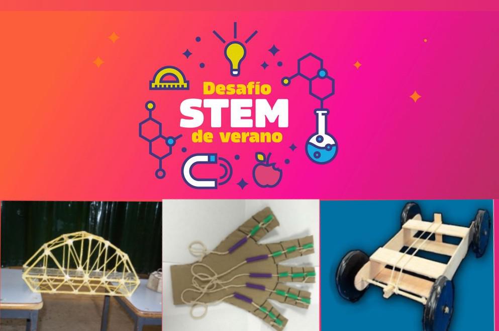 stem-web