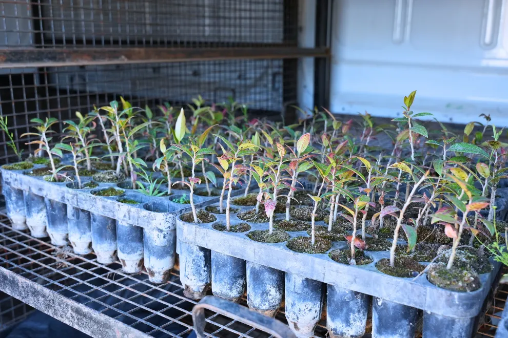 imagen_2025-09-03_105557685