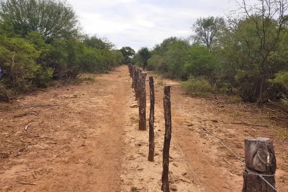 imagen_2025-07-29_085137508