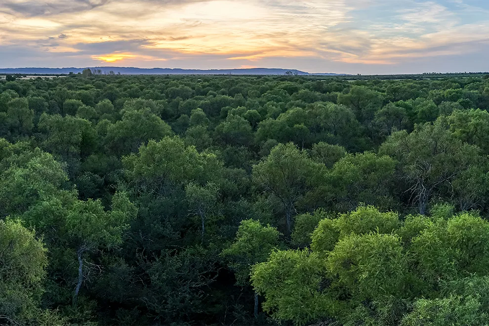 imagen_2025-08-31_195329591