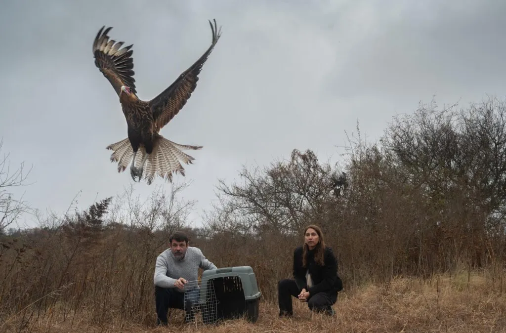 imagen_2025-07-29_084429763