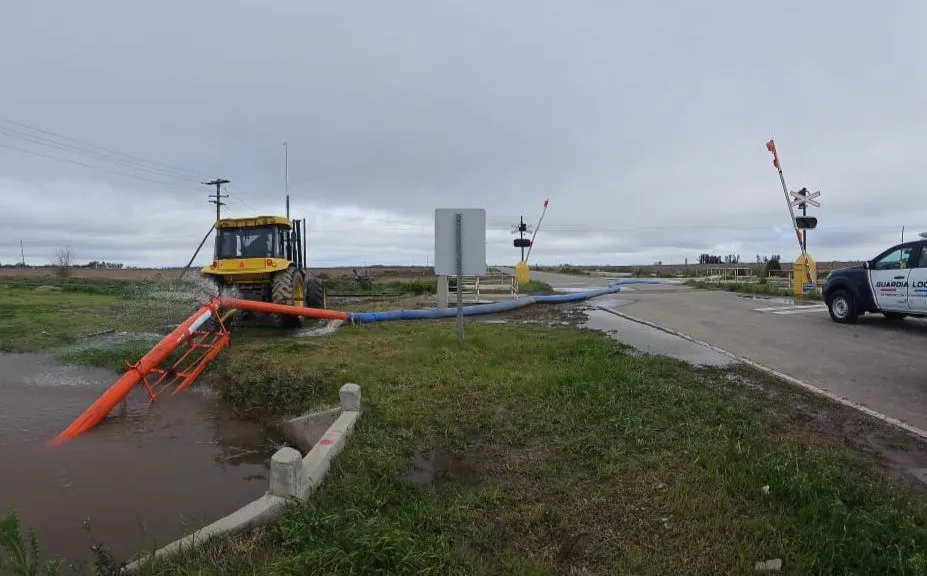 imagen_2025-08-31_194819682