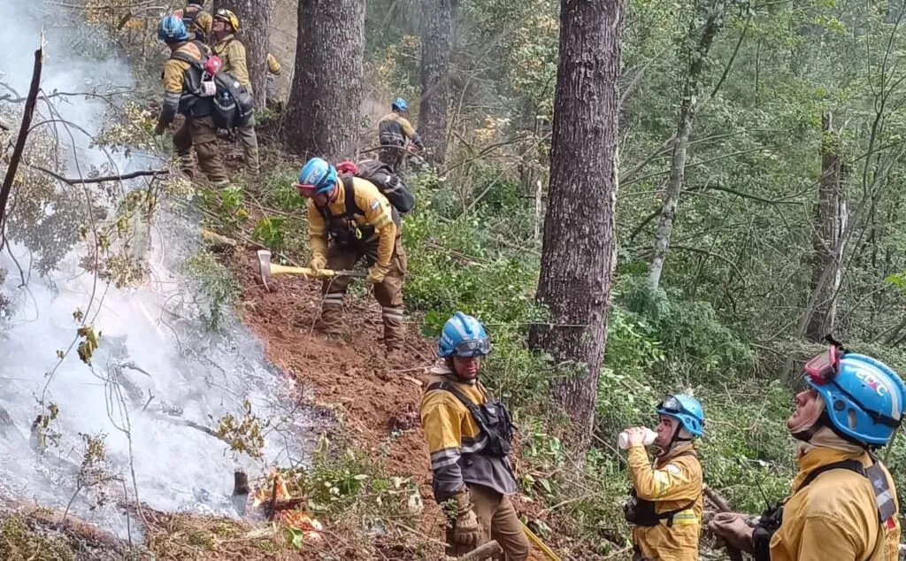 imagen_2025-09-10_143922465