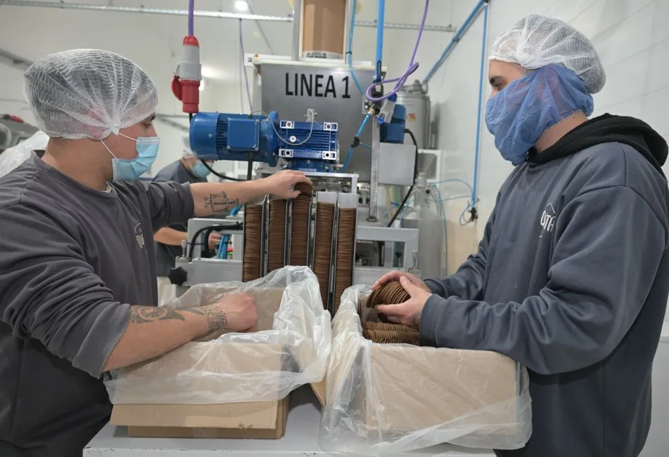 imagen_2025-09-23_233343601