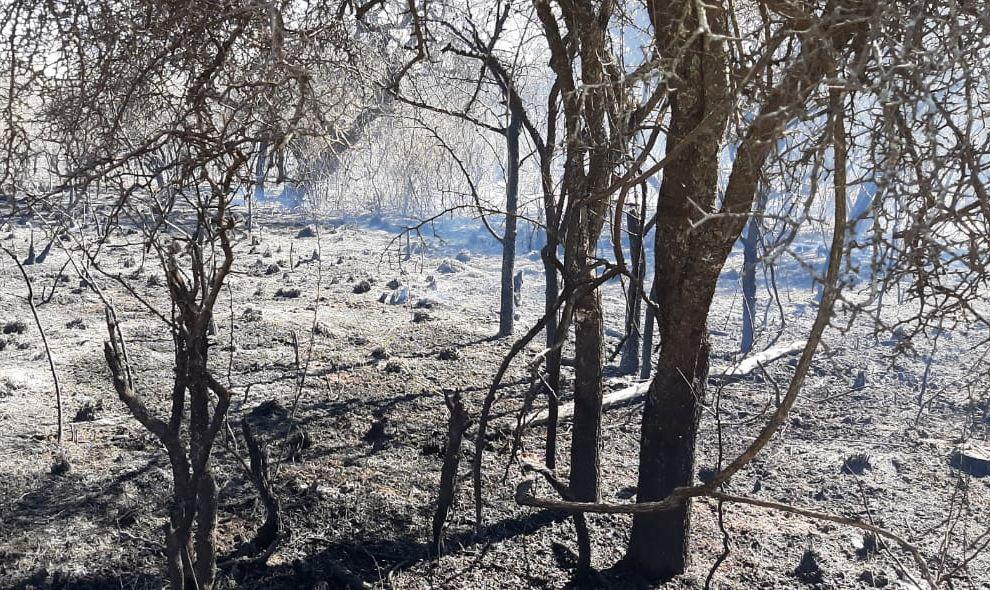 Incendio-Tulumba-2