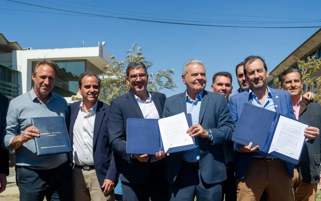 imagen_2025-09-15_085506065