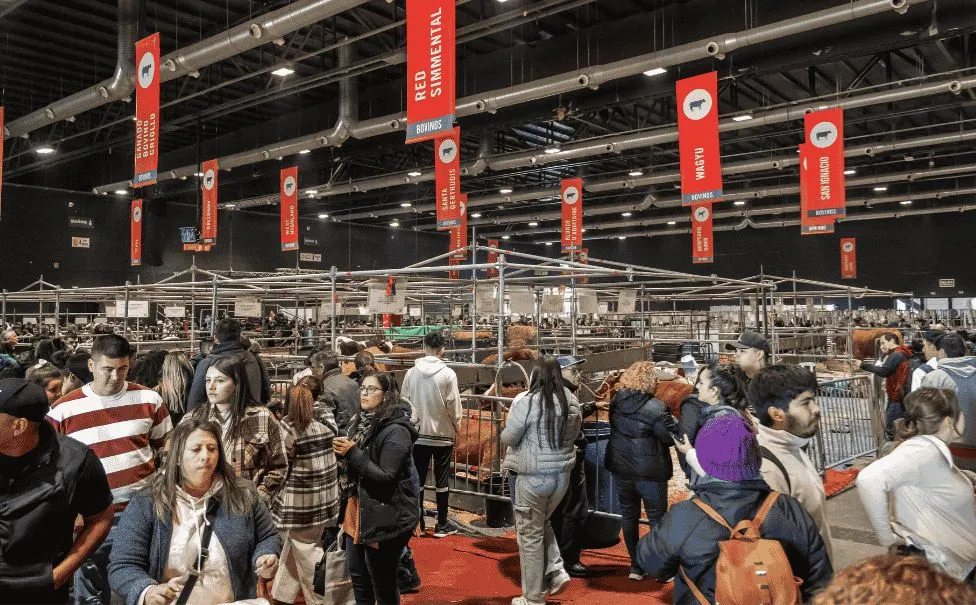 imagen_2025-07-16_225625499