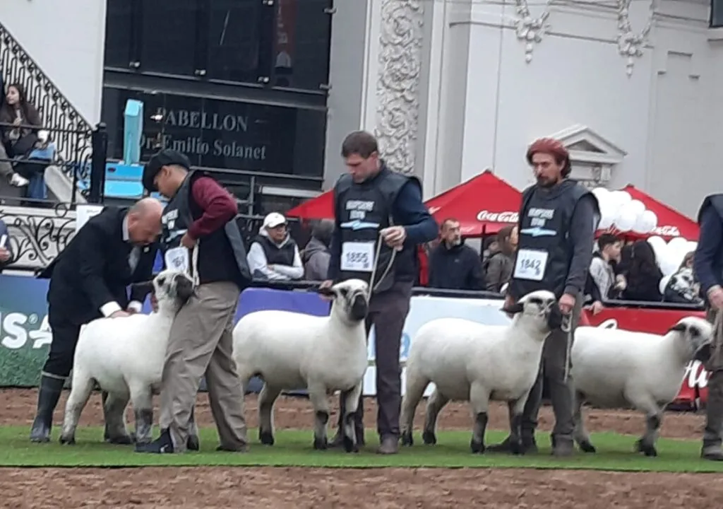 imagen_2025-08-07_204059671