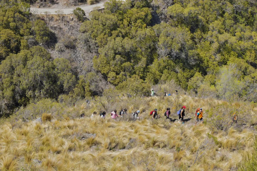 imagen_2025-09-09_084519494