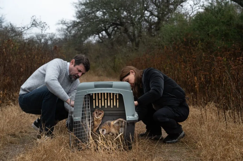 imagen_2025-07-29_084528470