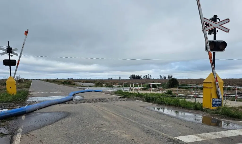 imagen_2025-08-31_194852577