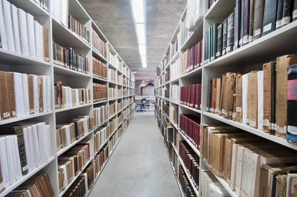 imagen_2025-08-28_131707559