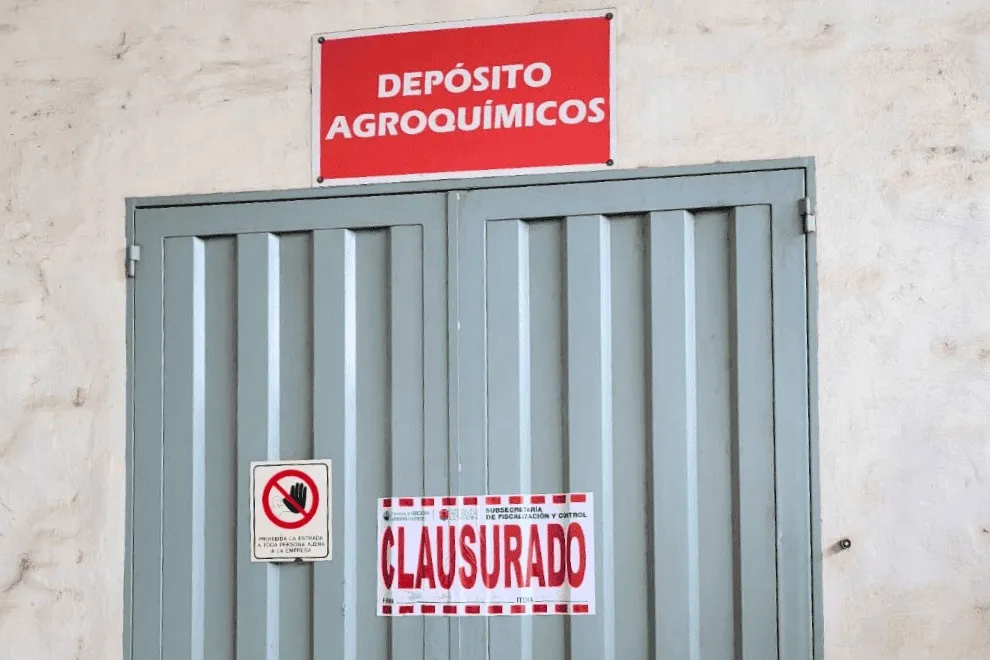 imagen_2025-09-11_045946578