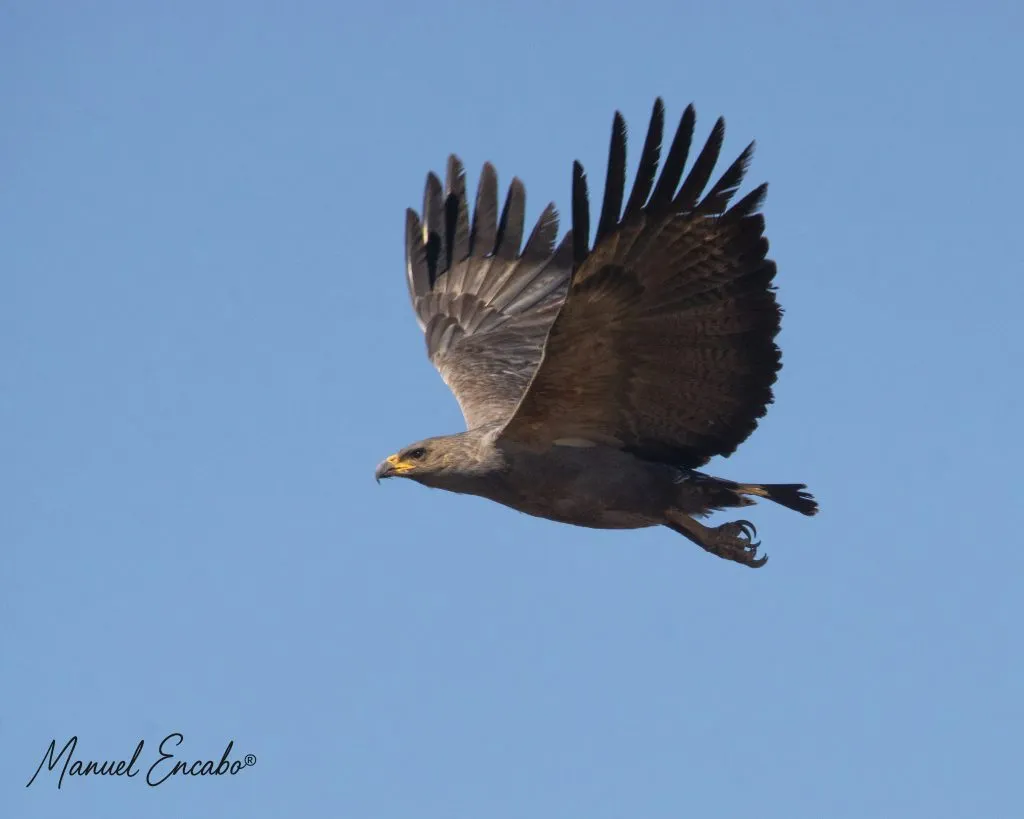 imagen_2025-09-15_233255564