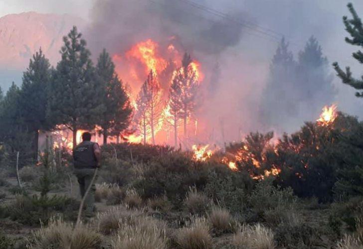 incendio-el-bolson-g20210126-1119555
