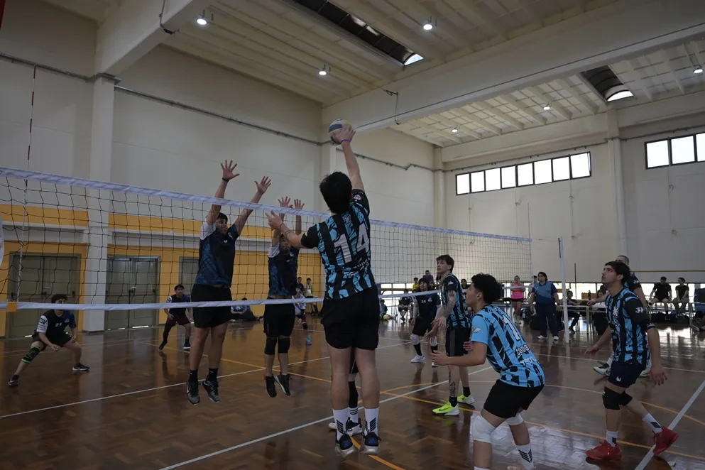 imagen_2025-09-24_132212927