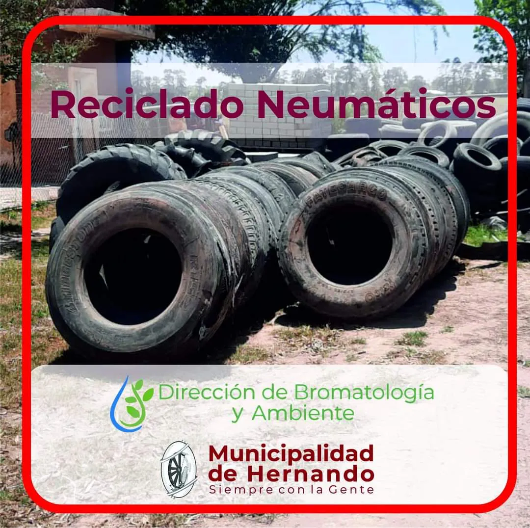 WhatsApp Image 2024-01-04 at 10.46.26