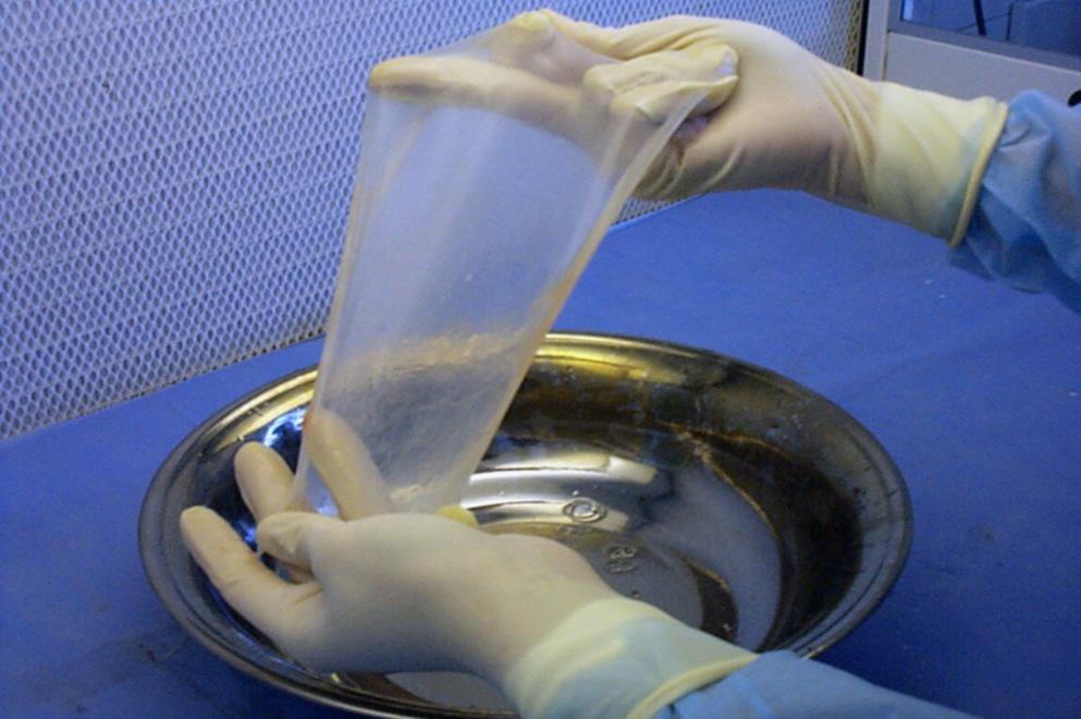 MEMBRANA-1-1