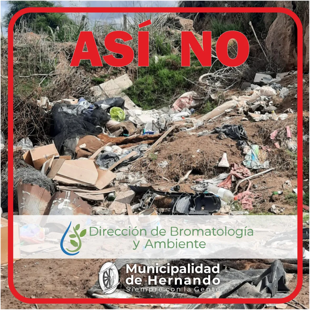 WhatsApp Image 2024-01-02 at 10.51.51