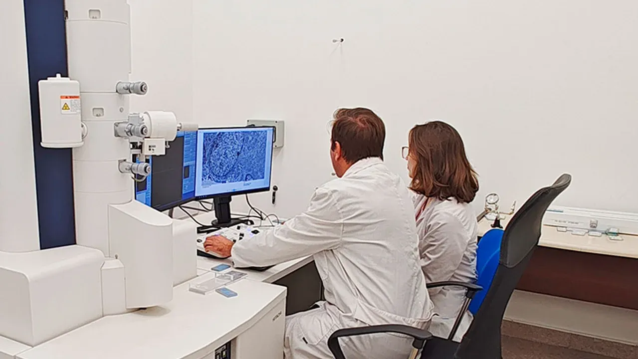 imagen_2025-05-09_083656008