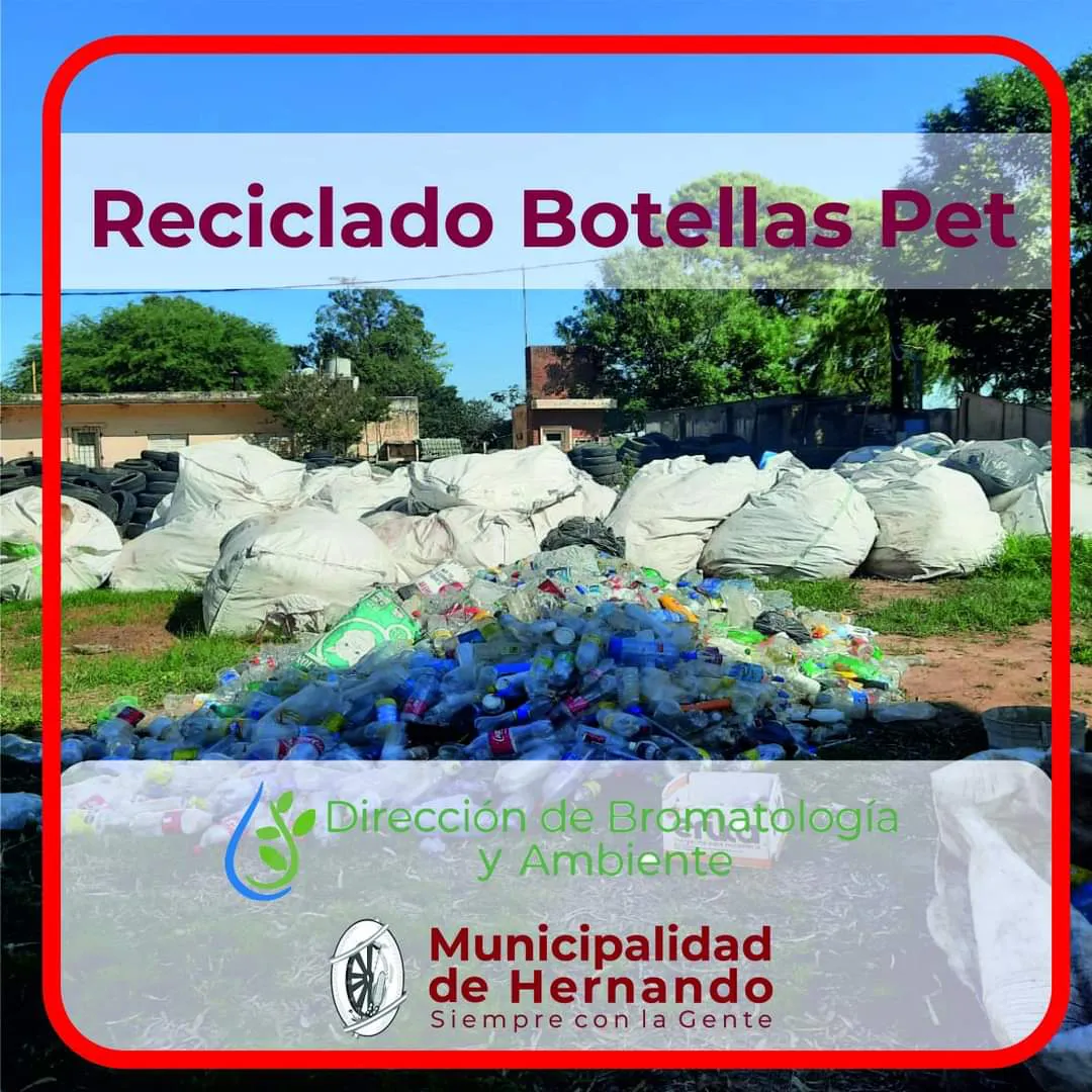 WhatsApp Image 2024-01-04 at 10.46.26 (1)