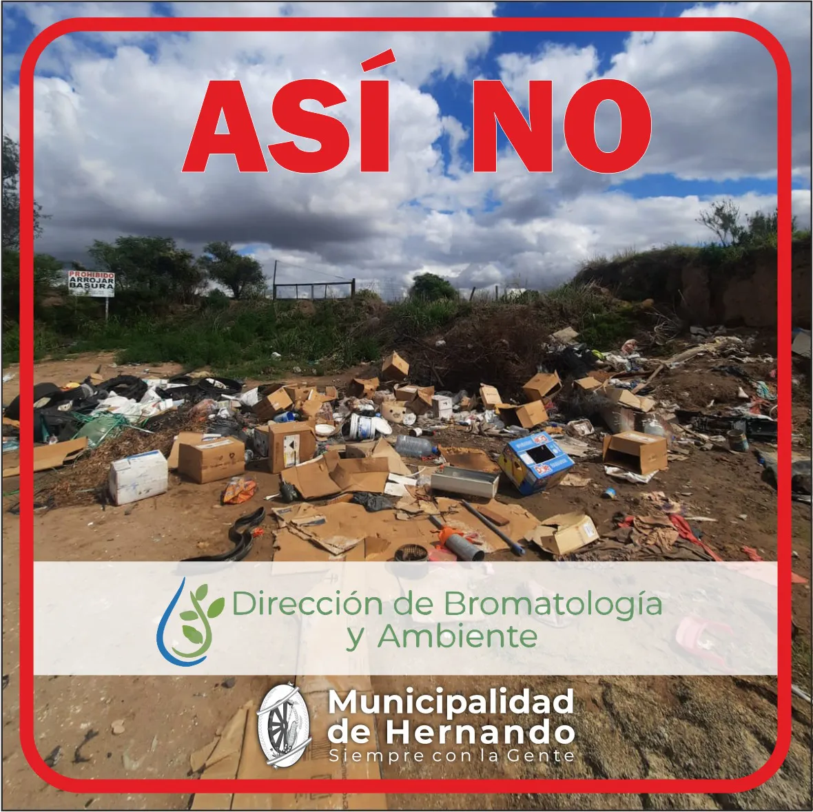 WhatsApp Image 2024-01-02 at 10.51.52