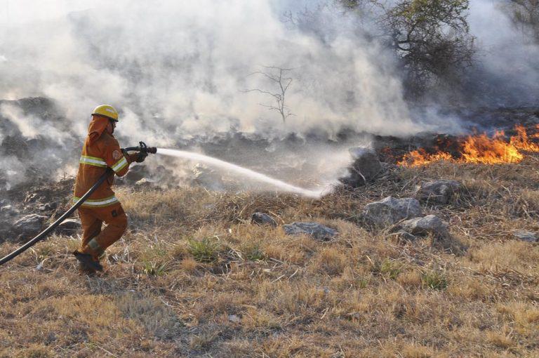 Incendios_6040-768x510