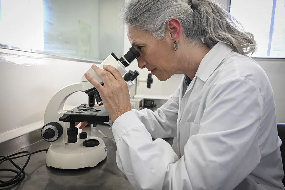 imagen_2025-09-23_233501525