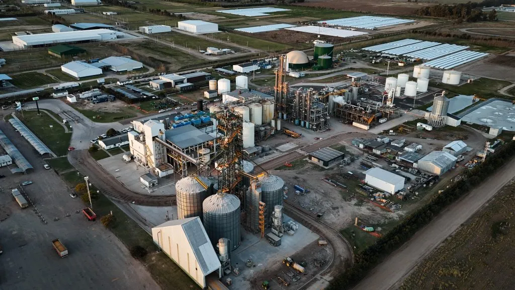 imagen_2025-09-15_085939459