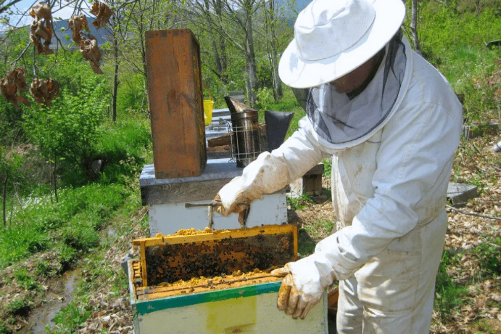 imagen_2025-09-25_224114152