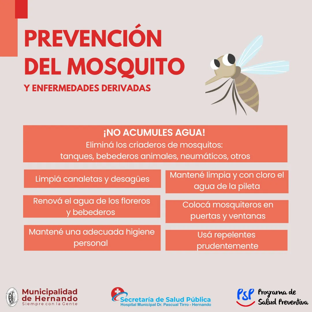 WhatsApp Image 2024-01-08 at 11.04.04